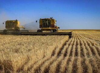 Produção agrícola em 2021 bate novo recorde e atinge R$ 743,3 bilhões